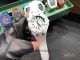 Perfect Replica Audemars Piguet Royal Oak Offshore Diver 42mm Automatic Watch - White Ceramic Bezel (3)_th.jpg